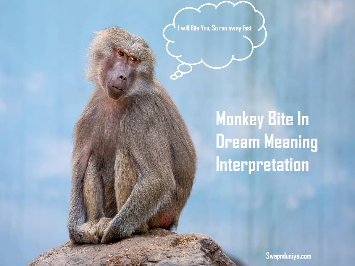 Monkey Bite In Dream Meaning Interpretation