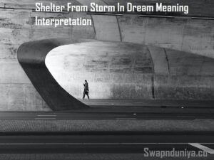 Shelter From Storm In Dream Meaning Interpretation