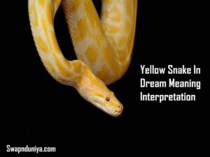 Yellow Snake In Dream Meaning Interpretation