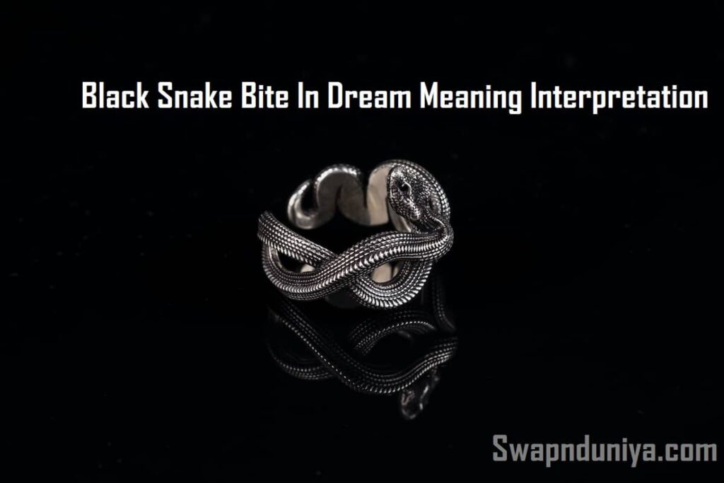 Black Snake Bite In Dream Meaning Interpretation