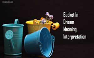 Bucket In Dream Meaning Interpretation