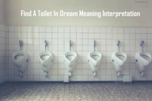 Find A Toilet In Dream Meaning Interpretation