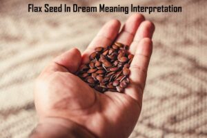 Flax Seed In Dream Meaning Interpretation