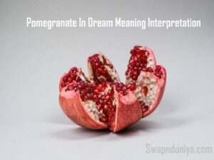 Pomegranate In Dream Meaning Interpretation