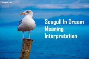 Seagull In Dream Meaning Interpretation