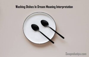 Washing Dishes In Dream Meaning Interpretation