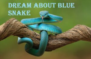 Blue Snake In Dream Meaning Interpretation