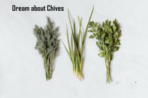 Chives In Dream Meaning Interpretation