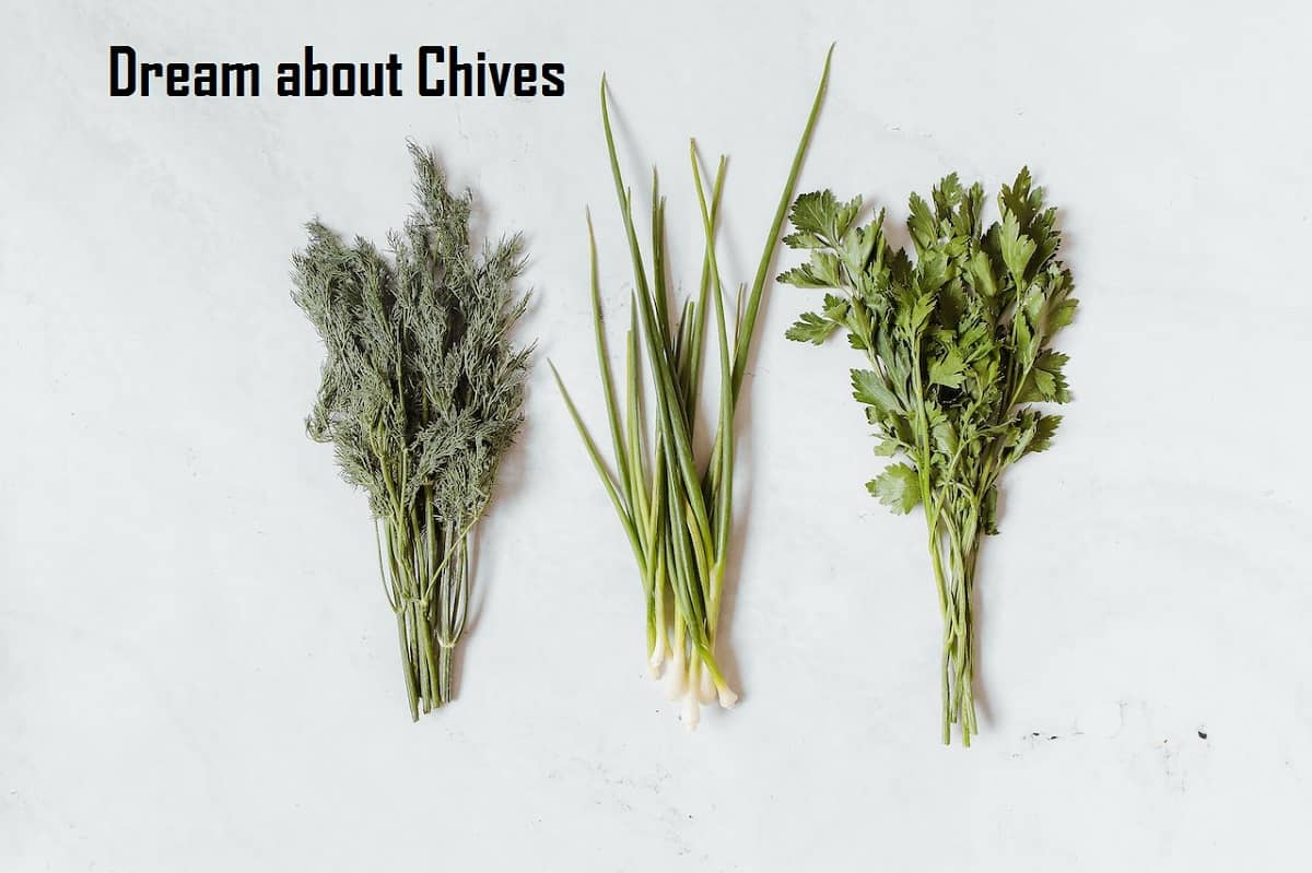 Chives In Dream Meaning Interpretation