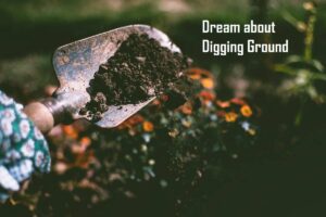 Digging Ground In Dream Meaning Interpretation | Dream about Digging Land