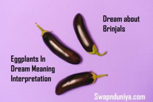 Eggplants In Dream Meaning Interpretation | Dream about Brinjal