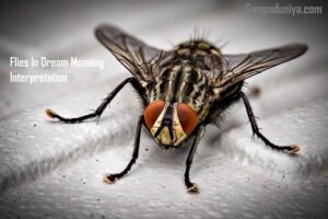 Flies In Dream Meaning Interpretation