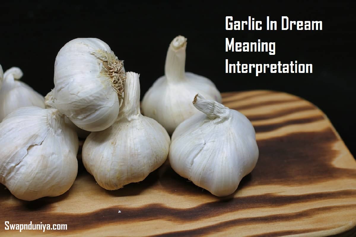 Garlic In Dream Meaning Interpretation