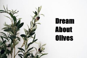 Olives In Dream Meaning Interpretation