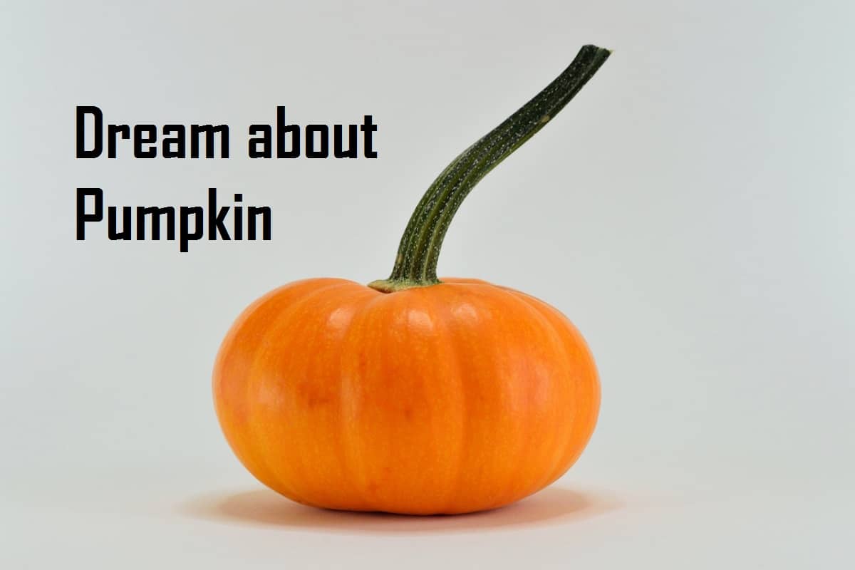 Pumpkin In Dream Meaning Interpretation