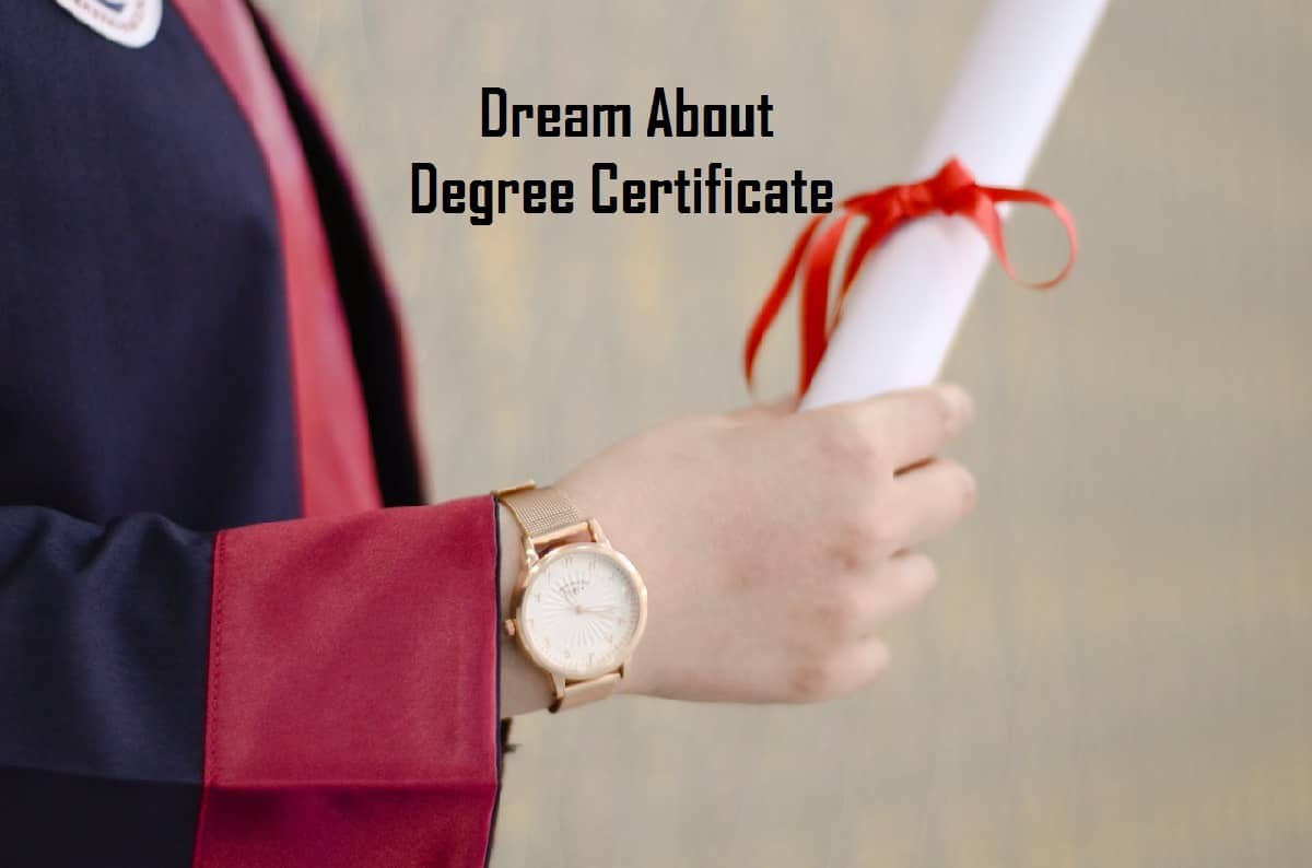 Degree Certificate In Dream Meaning Interpretation