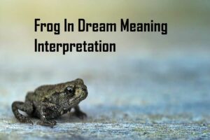 Frog In Dream Meaning Interpretation