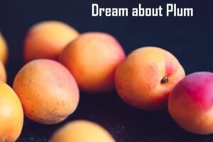 Plum In Dream Meaning Interpretation