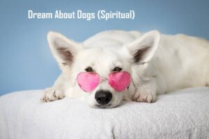 Spiritual Meaning of Dogs In Dream