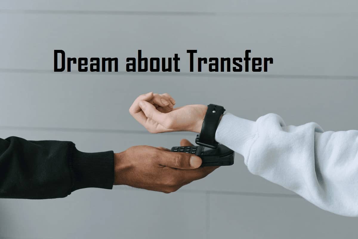 Transfer In Dream Meaning Interpretation