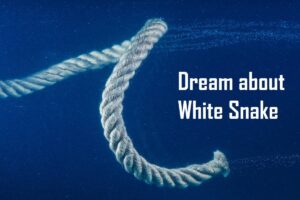 White Snake In Dream Meaning Interpretation