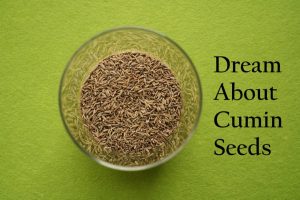 Cumin Seeds In Dream Meaning Interpretation