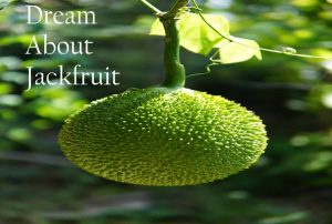 Jackfruit In Dream Meaning Interpretation