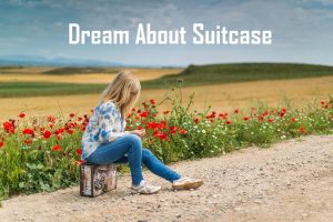 Suitcase In Dream Meaning Interpretation Dream about Luggage