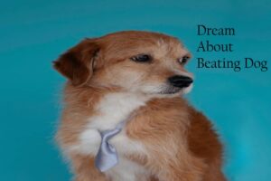 Beating Dog In Dream Meaning Interpretation