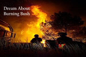 Burning Bush In Dream Meaning Interpretation