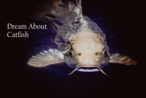 Catfish In Dream Meaning Interpretation