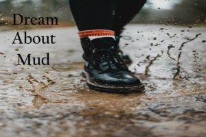 Mud In Dream Meaning Interpretation