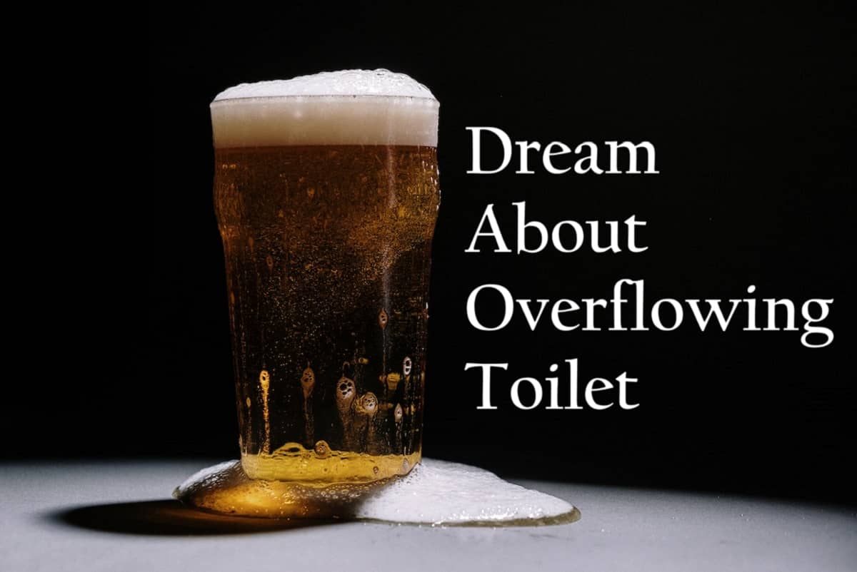 Overflowing Toilet In Dream Meaning Interpretation