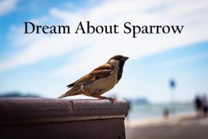 Sparrow In Dream Meaning Interpretation