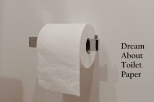 Toilet Paper In Dream Meaning Interpretation