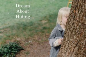 Hiding In Dream Meaning Interpretation