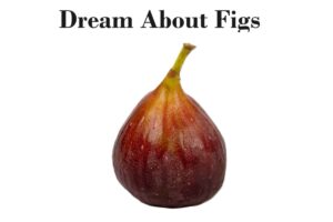 Dream about Figs